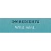 imageStash Tea Cinnamon Vanilla Herbal Tea  Naturally Caffeine Free NonGMO Project Verified Premium Tea with No Artificial Ingredients 18 Count Pack of 6  108 Bags TotalSuper Mint