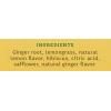 imageStash Tea Peppermint Herbal Tea  Naturally Caffeine Free NonGMO Project Verified Premium Tea with No Artificial Ingredients 20 Count Pack of 6  120 Bags TotalGinger Lemon