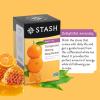 imageStash Tea Moroccan Mint Green Tea  Caffeinated NonGMO Project Verified Premium Tea with No Artificial Ingredients 20 Count Pack of 6  120 Bags TotalTangerine Honey