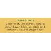 imageStash Tea Sweet Honeydew Green Tea  Caffeinated NonGMO Project Verified Premium Tea with No Artificial Ingredients 100 Count BULK PACKAGINGGinger Lemon